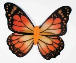 Monarch Butterfly Wings