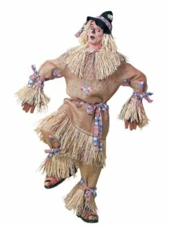 Deluxe Scarecrow | Adult